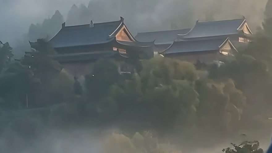 The same crop from the ByteDance 4K output: cleaner but still soft trees