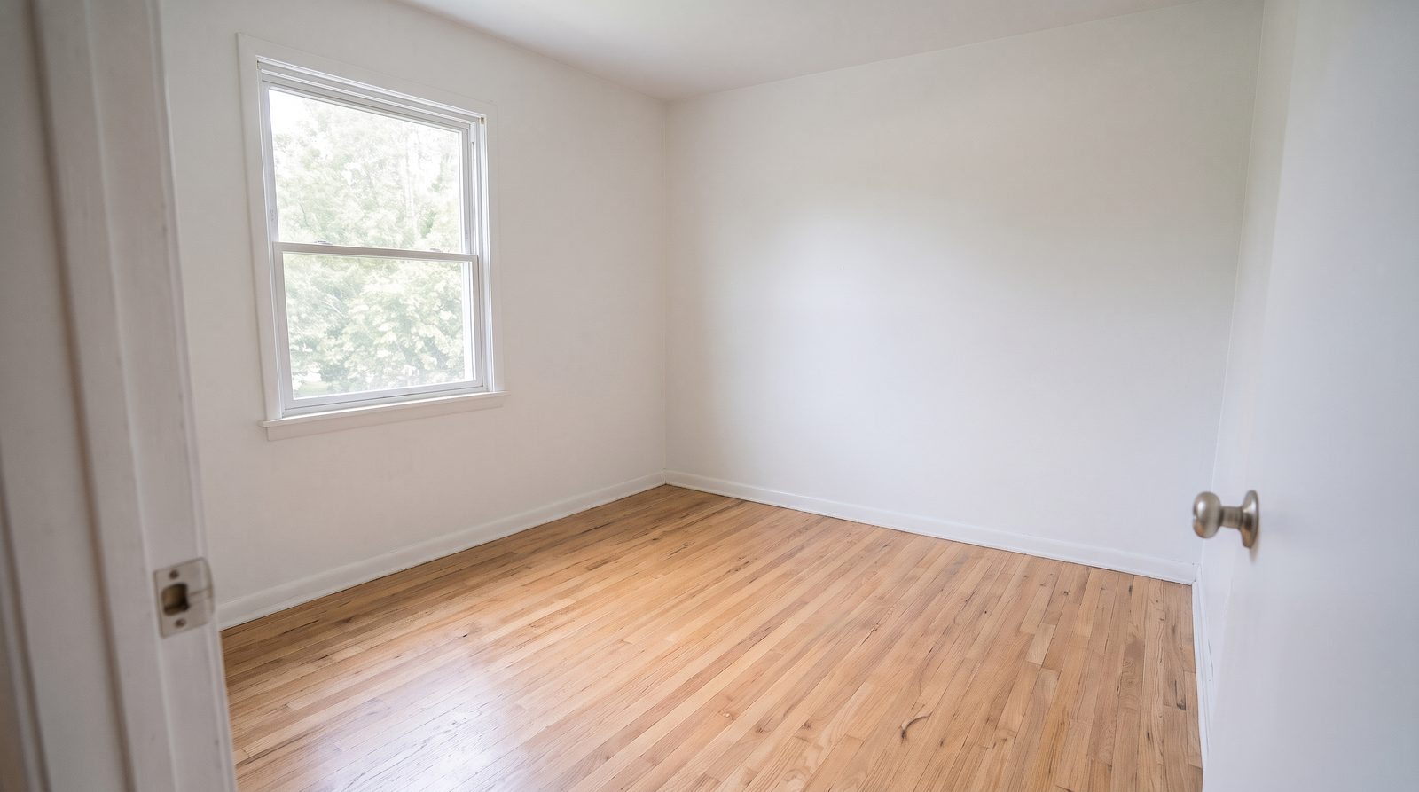 The same room empty and clean, with the window, door and floor unchanged
