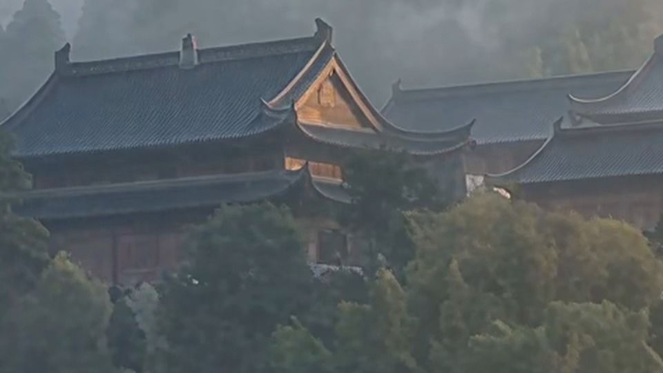 A tight crop of the temple roof from the Starlight 4K clip, enlarged 2x