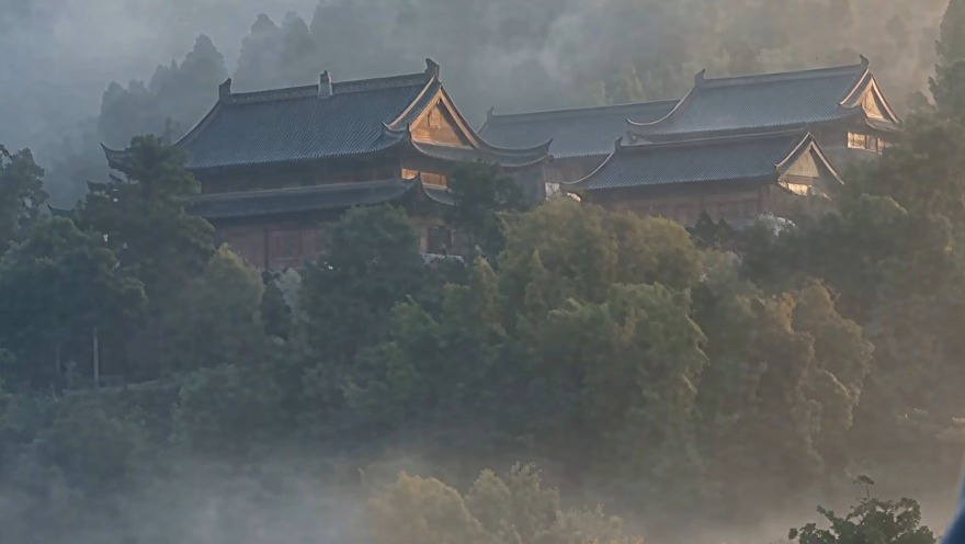 The same crop from the 4K Starlight Precise 2.6 output: separate leaves and roof tiles